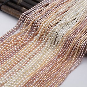 Offre spéciale Perles d'eau douce naturelles de forme de riz de 2-3 mm, légères et fortes, matériel de perles DIY, perles en vrac - Product Image 1