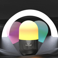 Lampe de camping LED portable, lumière d'ambiance étanche pour la randonnée et le camping