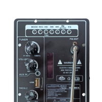 Amplificateur audio numérique multifonctionnel Ktv avec lecture de carte et réverbération