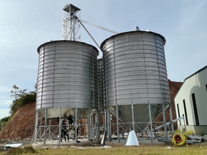 Silo de stockage de <span class=keywords><strong>céréales</strong></span> en acier OMCC 76-750 tonnes 12,3 m <span class=keywords><strong>pour</strong></span> blé et maïs, <span class=keywords><strong>prix</strong></span> compétitif et très demandé - Product Image 4