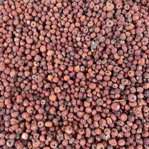 Fruta <span class=keywords><strong>Taxus</strong></span> seca Premium en Bolsa-Producto alimenticio y bebida - Product Image 3