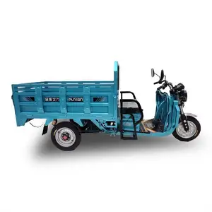 Commercial Customize 100KG TRIKE Tricycle Motor Drift With Cheap Shipping