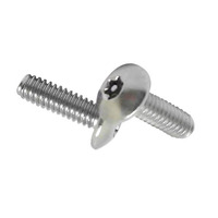 M4 M6 M10 baja tahan karat SS304 316 316L A2 A4 70 80 polos poles Torx Drive keamanan Truss kepala sekrup mesin