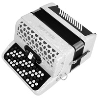 Sanbianyin Chromatic 62-key Accordion for Adults Children Button-type Bayan Professional 60 Bass Keyboard Instrument Portable