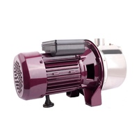 RUIQI JETST100 Station de pompage automatique électrique 800W/1100W Booster d'eau de surface haute pression 1hp Pompes en acier inoxydable certifiées CE