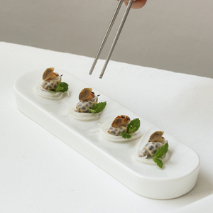 Japanese Dessert Tray Long Strip Oblong Porcelain Plant Ins Plates Dishes Sushi <strong>Platillos</strong> Especiales Sashimi Ceramic Tray - Product Image 2