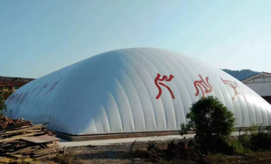 Bulle sportive gonflable dynamique avec choix de couleurs pour salle de sport multifonctionnelle - Product Image 3