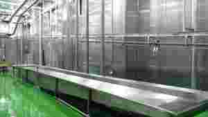 Équipement d'abattage de qualité industrielle pour bovins, pour des opérations d'abattage efficaces en abattoir - Product Image 5