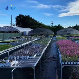 花园苗圃中心金属花卉植物展示台镀锌平台展示台