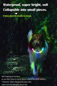 New Design Glowing LED USB Rechargeable Plastic Ribbons <b>Dog</b> Collar Multicolor Flashing Lights High Durable - Product Image 2