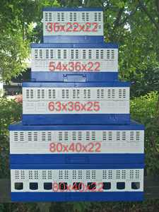 Güvercin katlanır kafes plastik güvercin eğitim evi Pet taşıma kutusu kafes küçük hayvanlar - Product Image 5