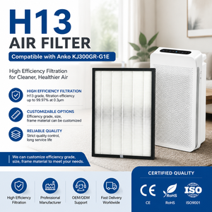 Filtre de remplacement pour purificateur d'air H13 à charbon actif véritable OEM/ODM, élimination multiple des odeurs, personnalisable – Offre Spéciale - Product Image 1