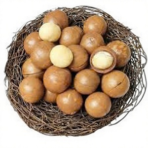 เม็ดมะคาเดเมียอบเปลือกแข็ง แบรนด์ส่วนตัว จำหน่ายส่งปริมาณมาก - Product Image 1