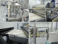 Machine de fabrication de chips de pommes de terre de type Pringles avancée, 250 kg/h, avec ligne de production à empileur contrôlé par un moteur servo