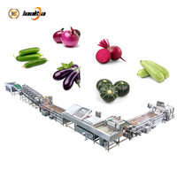 Automatische sorteerlijn voor het wassen van groenten (radijs, bieten, aubergine, komkommer, courgette) van roestvrij staal
