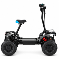 Scooter Électrique Pliant 4x4 Tout-Terrain 4000W CE à Démarrage par Clé NFC, Prix Usine, pour Jeunes et Aînés