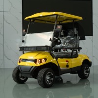 Meilleure Vente : Voiturette de Golf Électrique 2 Places, Autonomie 100 km, Compatible CarPlay et GPS, Puissance Élevée, Recharge Rapide - Prix