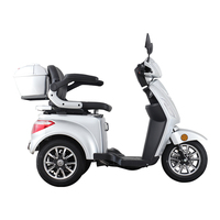 Trottinettes électriques Vista-1 à vendre, trottinette électrique 1000 watts, trottinette électrique 10 pouces