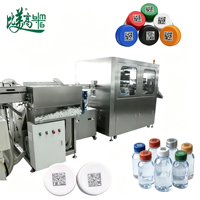 Machine de marquage laser numérique GS1 unique pour le positionnement des bouchons de bouteilles, idéale pour les lignes de production de mise en bouteille d'eau en série, conforme aux normes ASL BELGISI