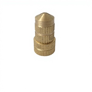 BOQUILLA DE LATÓN MATERIAL DE ALTA CALIDAD PARA BOQUILLA DE VENTILADOR TIPO <span class=keywords><strong>PB</strong></span> PULVERIZADOR ELÉCTRICO DE ALTA PRESIÓN USO DE PULVERIZADOR DE BATERÍA - Product Image 1