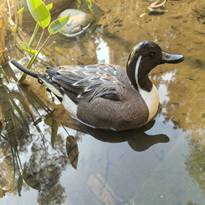 Décoys de chasse au canard réalistes en <span class=keywords><strong>EVA</strong></span> moulé, multi-espèces, pour la chasse en extérieur et le leurre des oiseaux aquatiques - Product Image 4
