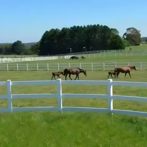 Cao Cấp Trang Trại Phong Cách Nhựa Trắng Chia <span class=keywords><strong>4</strong></span> Đường Ray <span class=keywords><strong>PVC</strong></span> Tấm Nhựa Bài Đường Sắt <span class=keywords><strong>PVC</strong></span> Vinyl Ngựa Hàng Rào - Product Image 5