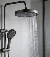 Système de douche pluie moderne avec étagère de rangement, gris anthracite brossé, pour projets OEM d'appartements