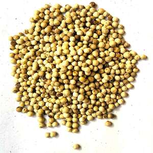 พริกไทยขาวเม็ดเต็ม เกรดพรีเมียม ออร์แกนิค ได้รับการรับรอง ขายดี - Product Image 2