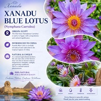 Pétales de fleurs de lotus bleues conformes aux normes européennes, thé de fleurs de lotus séchées avec étamines pour fumer, bain, garniture biologique
