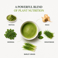 Poudre verte énergisante Power Matcha avec Maca, Moringa, Herbe de blé et Orge – Superaliment végétalien