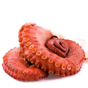 <span class=keywords><strong>Venta</strong></span> Directa <span class=keywords><strong>de</strong></span> Fábrica: <span class=keywords><strong>Pulpo</strong></span> Grande, Ideal para Preparar Ensalada <span class=keywords><strong>de</strong></span> <span class=keywords><strong>Pulpo</strong></span> Estilo Coreano, Patas, Tentáculos y Brazos <span class=keywords><strong>de</strong></span> <span class=keywords><strong>Pulpo</strong></span> Frescos - Product Image 4