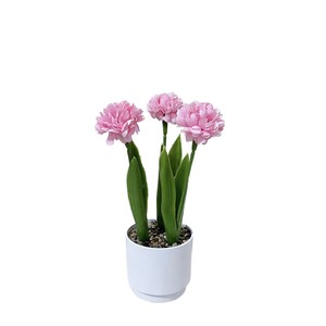 Bonsaï de chrysanthème artificiel Yuhua 10cm-30cm, plante en pot en plastique pour la décoration de bureau - Product Image 5