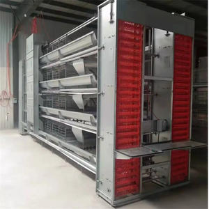 Tipo H Gallina <span class=keywords><strong>ponedora</strong></span> Alimentación automática y bebida Inmersión en caliente Galvanizado Pollo Jaula Capa Pollo Alimentador Equipo - Product Image 5