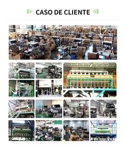 Wesort Mini Color Sorter Máy Chọn Màu Cho Hạt Cà Phê, Hạt, Ngũ Cốc, Lúa Mì, Ngô, Đậu Phộng, Đậu, Hạt Giống - Product Image 6