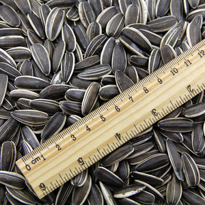 Emballage personnalisé, graines de <span class=keywords><strong>tournesol</strong></span> séchées à rayures noires de grande taille, en-cas, aliments sains et nutritifs, prix réduit - Product Image 2