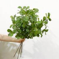 Feuille de Terminalia, feuille d'olivier, plante verte artificielle, décoration en pot, accessoires pour mur végétal, feuille à sept branches, feuille décorative