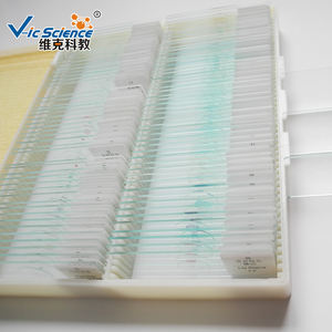 Ensemble de 100 lames de microscope préparées de tissus typiques de botanique pour les sciences médicales et la biologie, conformes aux normes universitaires - Product Image 4