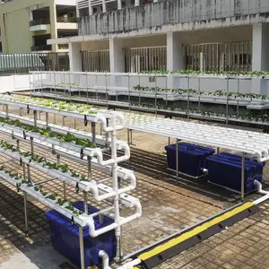 Kit di coltivazione idroponica del sistema di coltivazione commerciale idroponica dell'attrezzatura agricola OMANA