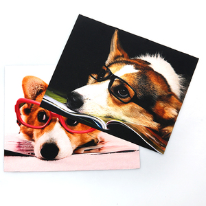 Panno <span class=keywords><strong>per</strong></span> la <span class=keywords><strong>Pulizia</strong></span> degli Occhiali Personalizzato con Logo Stampato in Microfibra <span class=keywords><strong>per</strong></span> Occhiali Carini - Product Image 1