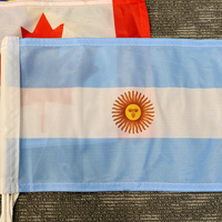 Bandera de Irán con León Iraní, Doble Cara, Poliéster Resistente a los Rayos UV, para Coche, 30x45cm, con Clip de Montaje, Resistente a la Decoloración, para Fanáticos del Deporte y Rally