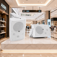Système de musique d'ambiance mural 100V 40W pour home cinéma, TV, jeux vidéo, bureau, commerce et parcs