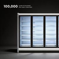 Vitrine réfrigérée à portes vitrées, conception multi-portes, capacité optionnelle, refroidisseur commercial pour l'affichage alimentaire en épicerie