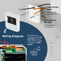 Termostato Inteligente Zigbee de Bajo Consumo para Caldera, Programación Diaria de 6 Periodos, Contacto Seco, Batería/USB-C