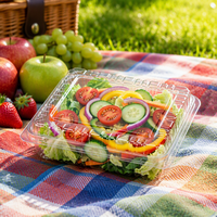 Conteneur à salade transparent en PET anti-buée avec couvercle à charnière, boîte à clapet pour fruits, sushis, aliments froids, emballage 8oz 12oz 16oz 24oz