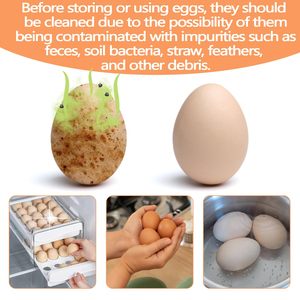 New Silicone trứng bàn chải sạch trứng máy giặt Scrubber cho trứng tươi tái sử dụng công cụ làm sạch cho gà Coop phụ kiện - Product Image 4