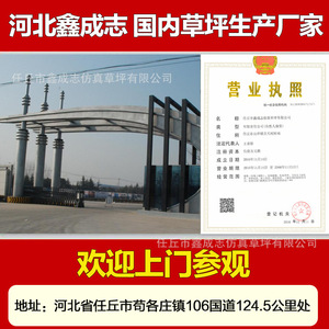 Césped Artificial Xinchengzhi, Tamaños Personalizados, Material de Polietileno, para Parques Infantiles, Uso en Exteriores - Product Image 5