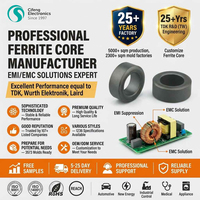 Premium Industrial Ferrite Core Inductors Power Mn-Zn Core Toroid Chokes Bead Core OD18XH10XID10mm RoHS/REACH Certified CF Brand