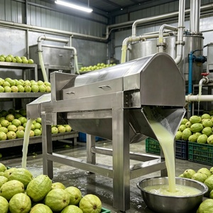 Équipement de filtration multifonctionnel pour pulpe de fruits, équipement de production et de filtration pour jus et purée aux viscosités variées - Product Image 1