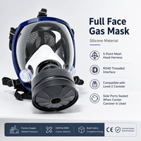 Masque à gaz intégral CF02 RD40 avec filtre à filetage de 40 mm, respirateur chimique industriel, protection contre les gaz acides et les vapeurs, CE