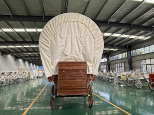 Venta Directa de Fábrica de Tiendas de Campaña Clásicas de Madera con Baterías de Litio / Autos Clásicos de Turismo Nuevos con Descuento - Product Image 3